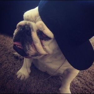 Meet your Posher, Deven